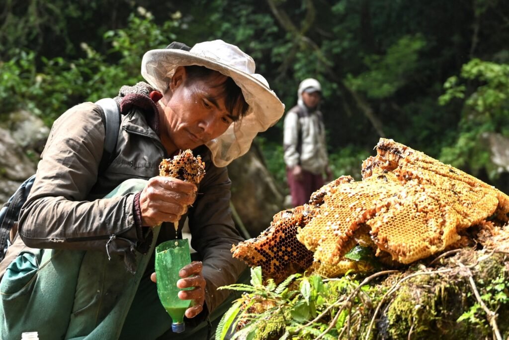 honey from himalayas
