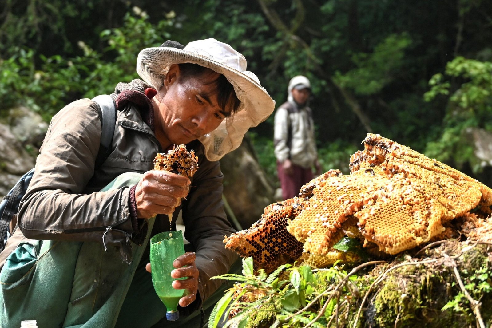 What Makes Honey from Himalayas So Unique?